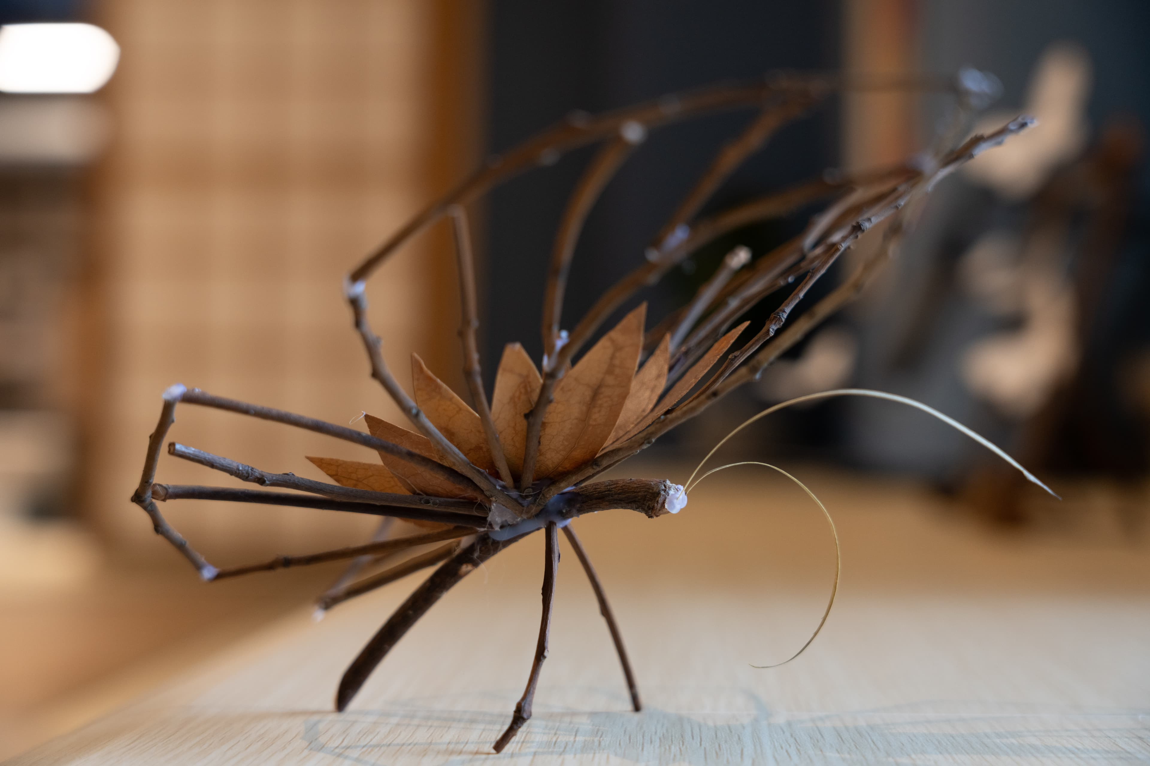 自然造物手作蝴蝶